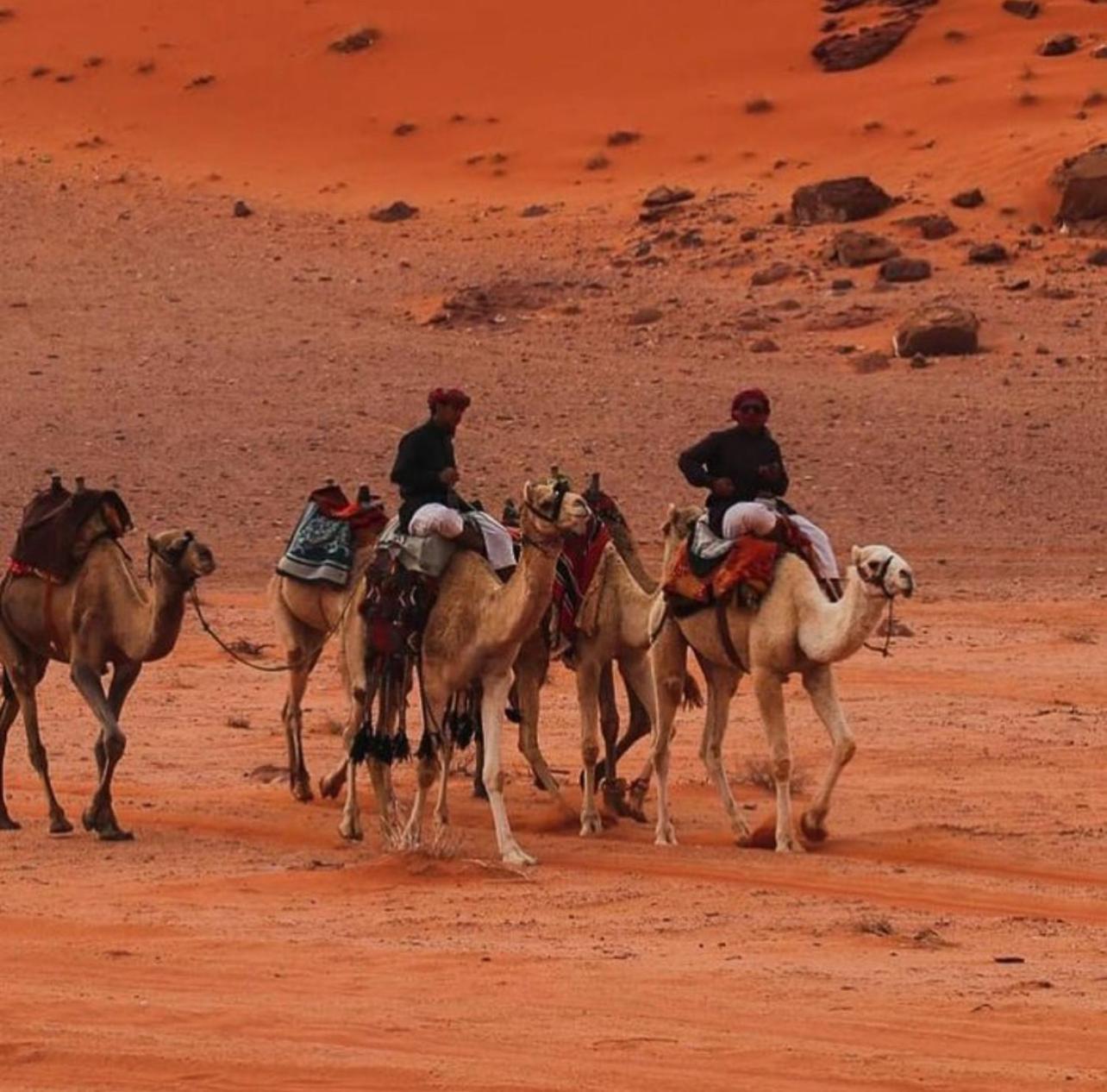 Hotel Bedouin Bunch Camp Wadi Rum Exterior foto